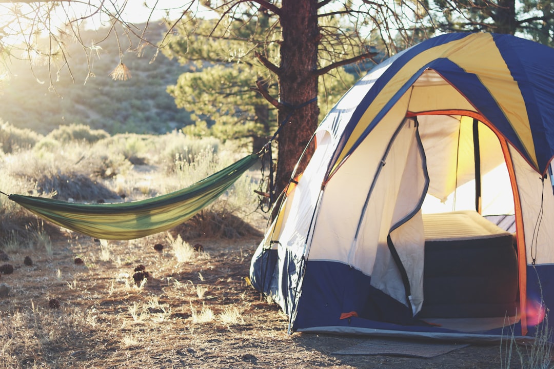 Explore the Great Outdoors with Gear from Wild Vista Homes