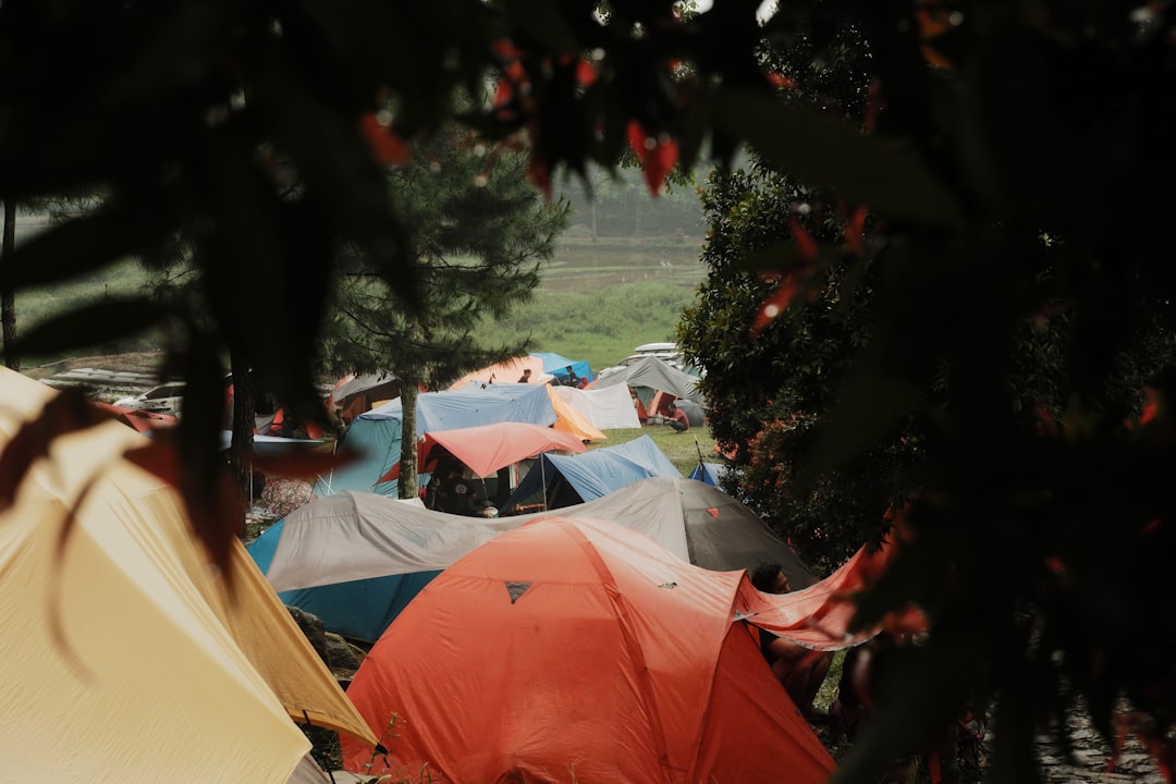 Top 10 Must-Have Products for Your Next Camping Trip