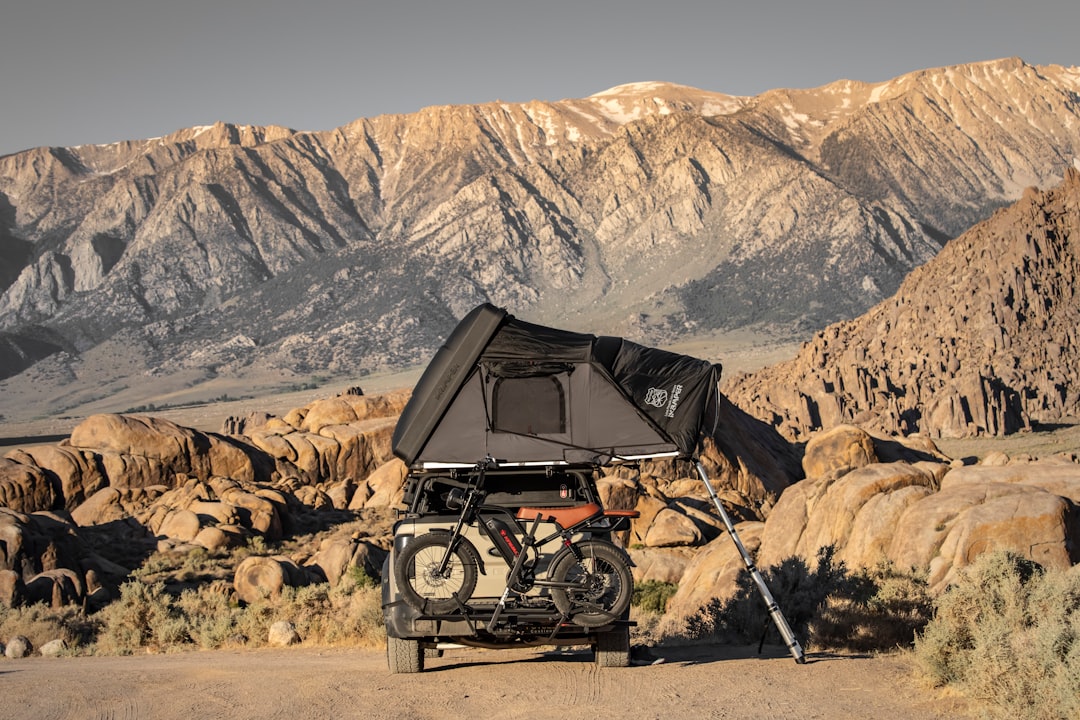 Wild Vista Homes: Your Destination for Quality Outdoor Gear